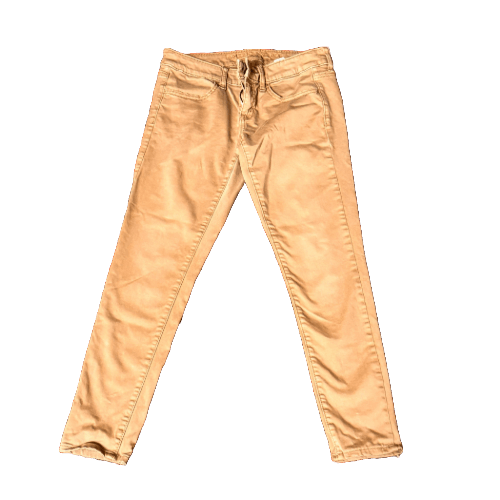 American Eagle tan denim pants, size 4 petite, stylish secondhand clothing for casual and semi-formal settings.